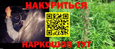 apvp Лесосибирск