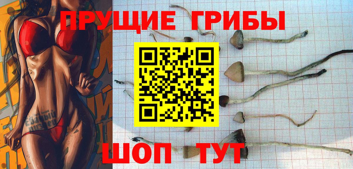 Псилоцибиновые грибы мицелий Алатырь